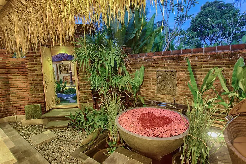 Hotel Imagine Bali Ubud
